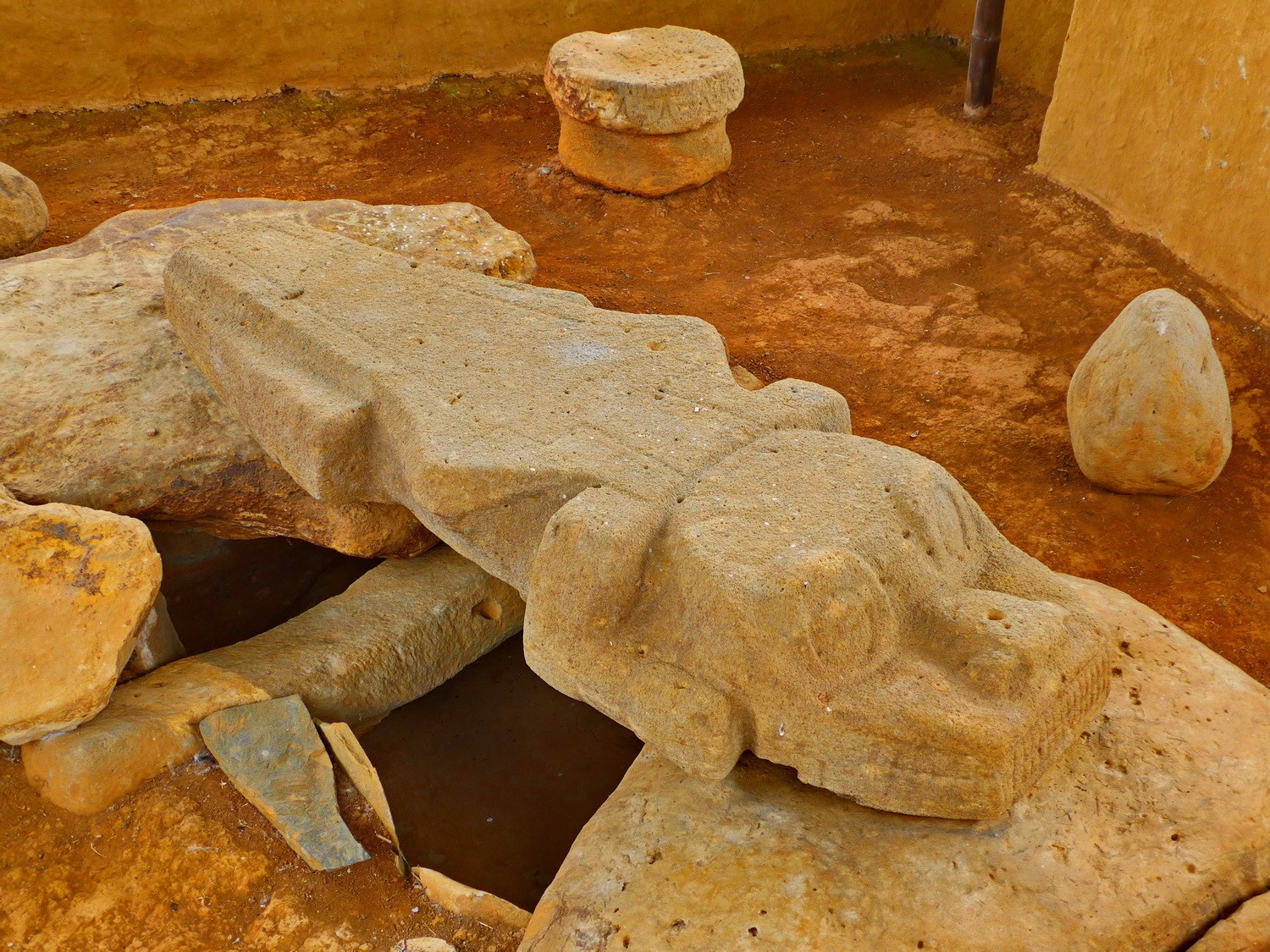 Iguana covering a grave in Alto de los Idolos